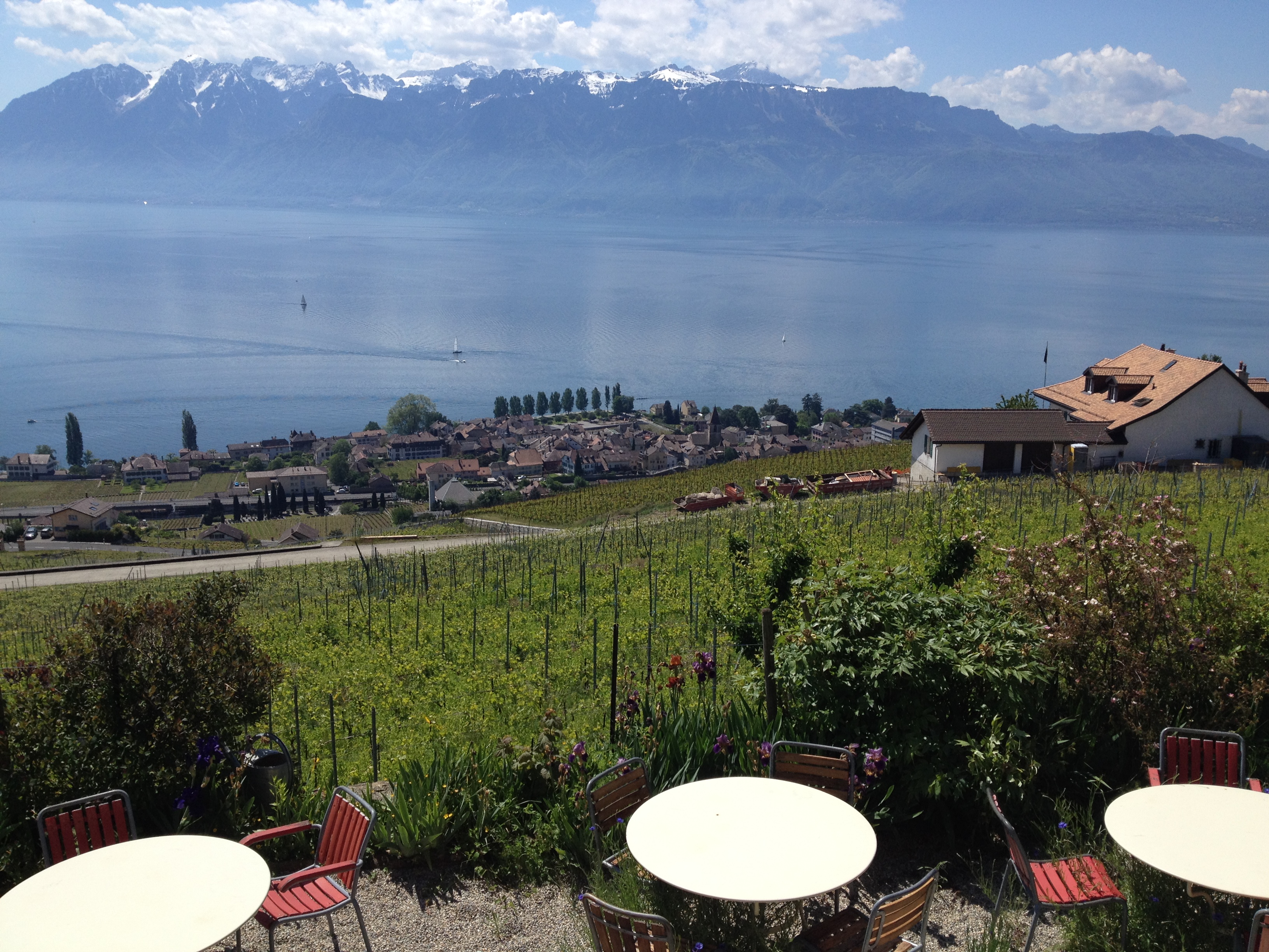 Région du Léman - Lausanne / Montreux Riviera