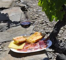 séminaire Banyuls - Collioure