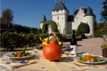 Séminaire Incentive - CHATEAU DE LA LOIRE