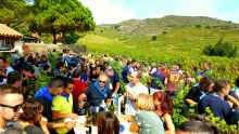 Banyuls - Collioure