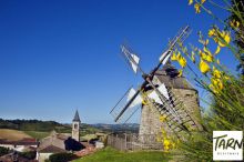 Séminaire et Incentive Albi