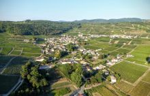 séminaire vignoble Maconnais - Beaujolais