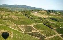 séminaire vignoble Maconnais - Beaujolais