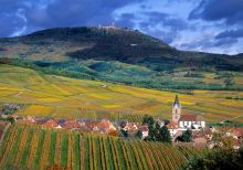 séminaire vignobles Alsace