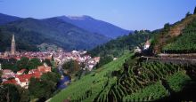 séminaire vignobles Alsace