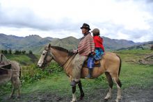 Incentive EQUATEUR - QUITO / COTOPAXI / AMAZONIE