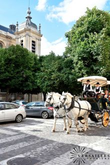 Incentive Sémianire - Versailles