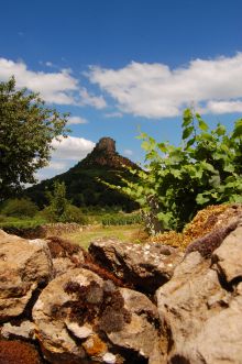 séminaire vignoble Maconnais - Beaujolais