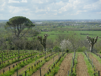 séminaire vignobles Bordelais