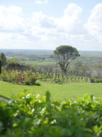 séminaire vignobles Bordelais