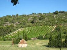 séminaire vignoble St Chinian