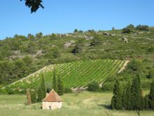 séminaire vignoble St Chinian