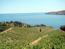 Séminaire Catalogne Nord - Collioure / Banyuls sur mer / Perpignan / Canet / Argeles