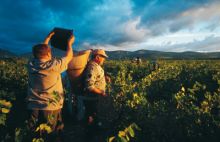 séminaire vignoble Maury