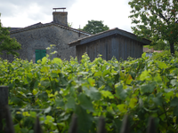 séminaire vignobles Bordelais