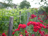 séminaire vignobles Bordelais