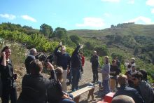 Fête des Vendanges à la Cave Tambour - 2013